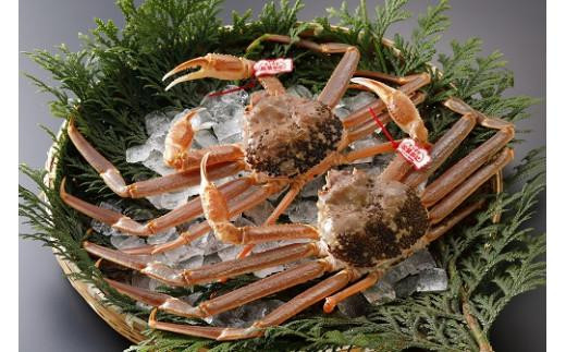 
                  鳥取県産 活松葉がに 特大2枚(タグ付)【中村商店】
                
