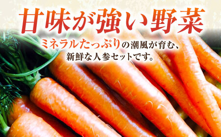 【先行予約】人参セット 約2kg 【鈴也ファーム】[AKCE013]