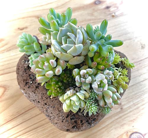 画像はイメージです