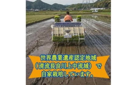 【岐阜県代表品種】　令和5年産　ハツシモ米　【白米】 27ｋｇ　L7 G30-09
