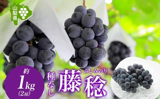 
            【チョイス限定】＜2025年発送＞山梨県 笛吹市 藤稔 2房 約1kg 177-6-003 ｜藤稔 葡萄 ぶどう 発送 山梨 笛吹市 果物 フルーツ 新鮮 旬 発送 ブドウ 国産 山梨 笛吹市 葡萄 高級 ぶどう 山梨県笛吹市 果物 黒葡萄 高級品種 ブドウ 先行 贈答用 贈答 ギフト｜
          