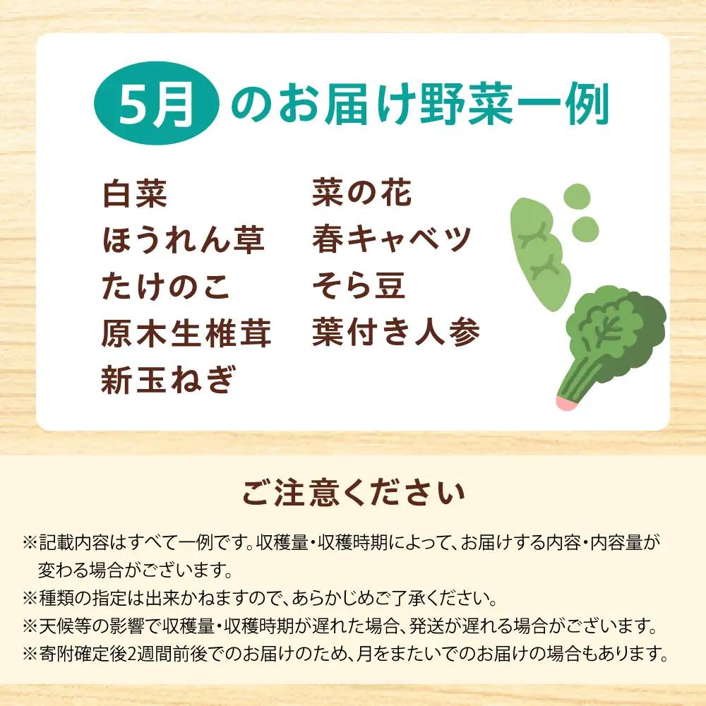 高槻野菜おまかせ詰め合わせセット 5月（10種〜15種）[AOCS011] 野菜セット