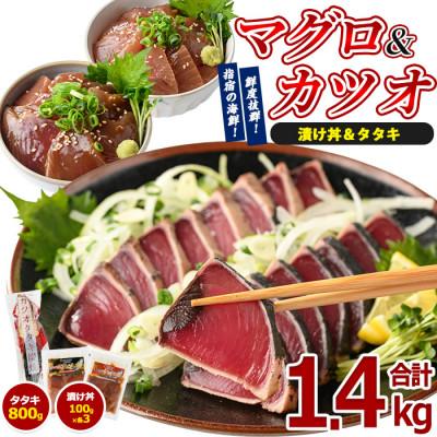 ふるさと納税 指宿市 カツオのたたきとマグロ・カツオの海鮮漬けセット(IB039-003)