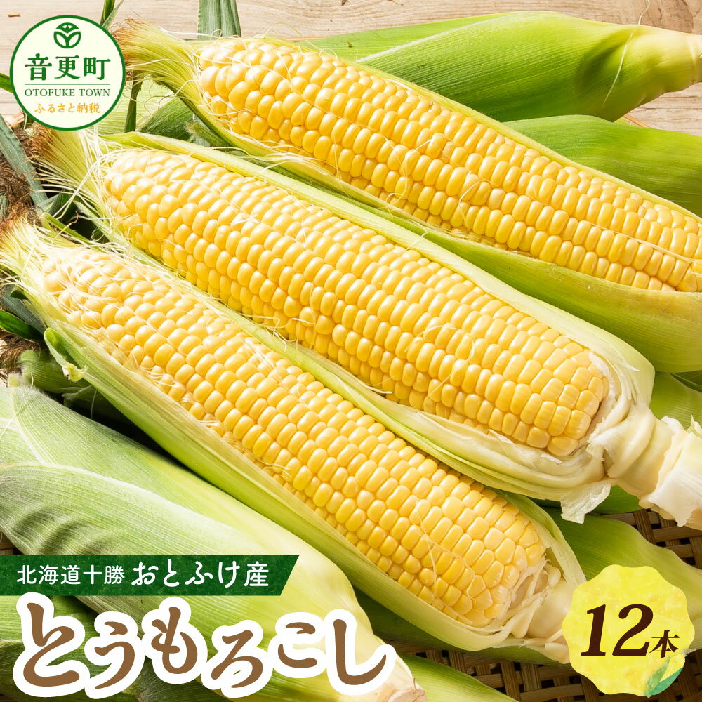 【ふるさと納税】【先行受付】おとふけ産とうもろこし 12本【2025年8月上旬頃より順次発送】 トウモロコシ コーン 野菜 やさい 十勝 冷蔵 北海道 音更町 送料無料