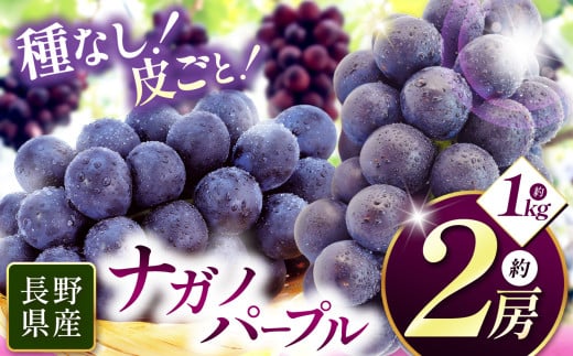 信州産 ナガノパープル 2房（約1kg）｜ふるさと納税 松本市  ぶどう 葡萄  ナガノパープル 果物 フルーツ 種無し 新鮮 信州産 先行予約