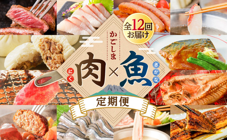 【 肉 × 魚 】 12回 定期便 K000-T2503 牛肉 豚肉 うなぎ 刺身 黒毛和牛 ステーキ ウインナー 金目鯛 しゃぶしゃぶ 肉まん 惣菜 赤身 焼肉 干物 ハンバーグ キビナゴ 蒲焼 限定 定期 冷凍 冷蔵 セット バラエティ コラボ ふるさと納税 鹿児島 おすすめ ランキング プレゼント ギフト