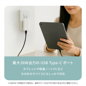 Owltech(オウルテック) 薄さ13mm 最大PD36W出力 GaN採用 USB Type-C×1 AC充電器 OEC-APD36C1G-WH【 神奈川県 海老名市 】