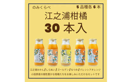 小田原産江之浦みかんジュース５種のみくらべ３０本セット うんしゅう・しらぬい・ゴールデン・なつみ・バレンシアオレンジ１００％ストレートジュース１８０ml各６本合計３０本【みかんジュース みかんジュース 神奈川県 小田原市 】