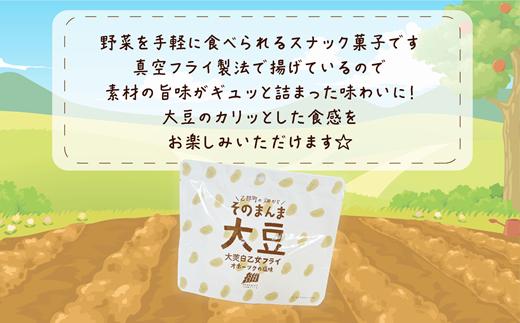 ＜大莢白乙女フライ 1個セット＞北海道 北海道産 大莢白乙女 大豆 フライ そのまんま そのまんまシリーズ