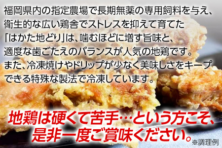 地鶏 はかた地どり ぶつ切り肉(約1kg) 福岡県産地鶏