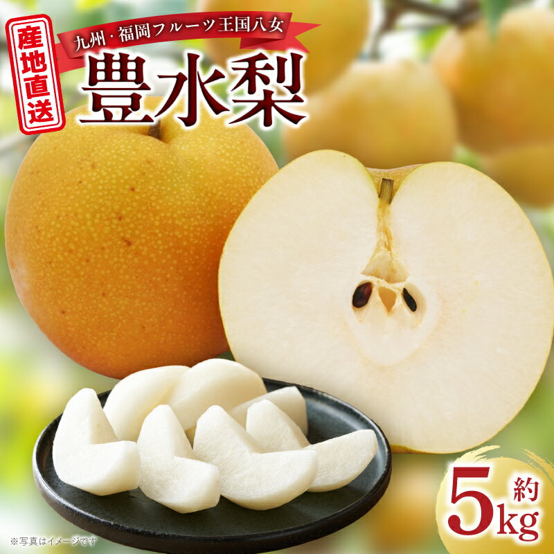 【ふるさと納税】産地直送！ 梨(豊水) 約5kg 【2026年8〜9月発送】九州・福岡フルーツ王国八女 ＜配送不可：北海道・沖縄・離島＞ 豊水梨 なし 送料無料 果物 フルーツ 品種 デザート 旬 新鮮 甘い 甘み ジューシー 数量限定 果汁 国産 季節限定 冷蔵配送 数量限定 秋の味覚