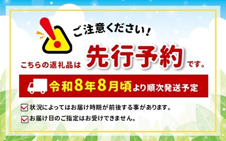 2026年先行予約 贈答用 信州産 葡萄【詰み合わせ】３房【シャインマスカット、ナガノパープル、クインルージュ®】｜ フルーツ ふるーつ 果物 甘い シャインマスカット 葡萄 ぶどう ナガノパープル 