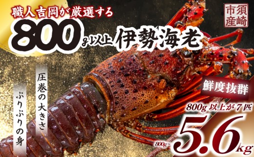 
超特大 伊勢海老 800g以上 1尾 冷凍 ( 超特大サイズ 急速冷凍 えび エビ 高級 鮮魚 海鮮 魚介 刺身 焼き物 汁物 ギフト 贈答 贈り物 祝い 歳暮 中元 ) IKY043
