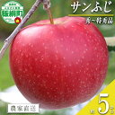 【ふるさと納税】 りんご サンふじ 5kg 秀〜特秀 一里山農園 沖縄県への配送不可 〔 果物 フルーツ 林檎 長野 予約 農家直送 贈答用 5キロ 16000円 〕【令和6年度収穫分】 発送：2024年12月上旬〜