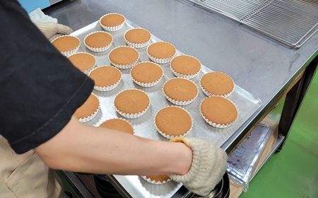 《お父さんのはちみつマドレーヌ》はちがとー　10個入　焼き菓子　スイーツ　ギフト　贈答　
