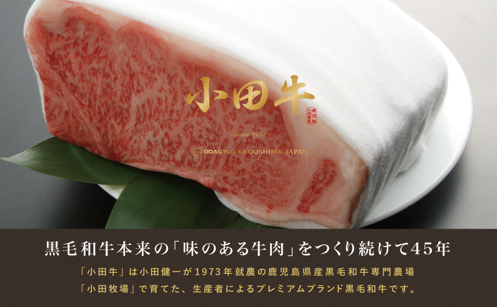 【全5回】プレミアムブランド「小田牛」定期便［肉三昧］鹿児島県産 黒毛和牛 ステーキ リブステーキ すき焼き 焼肉 カタロース カルビ モモ ソース 冷凍 小田畜産 南さつま市