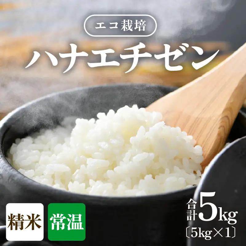 【先行予約】【令和8年産 新米】 エコ栽培ハナエチゼン　白米5kg ／ 鮮度抜群 福井県産 はなえちぜん ご飯 新鮮 白米 ※2026年9月上旬以降順次発送予定 [aw063-a019]