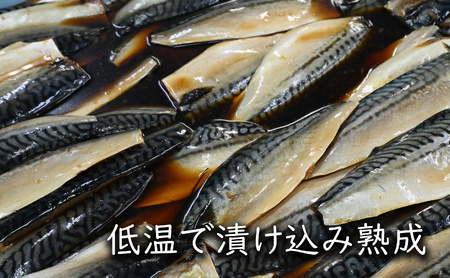 【無添加】 サバ みりん干し 6枚入 みりん干し 【SPS0031】