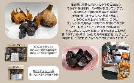 黒にんにくセットB 【 ふるさと納税 人気 おすすめ ランキング 北海道 室蘭 黒ニンニク にんにく ガーリック 健康 食品 発芽 野菜 セット 大容量 詰合せ 北海道 室蘭市 送料無料 】 MROB