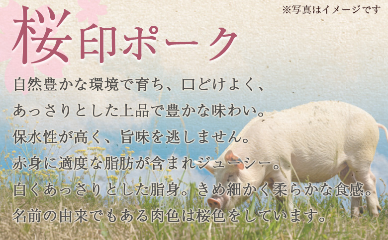 ＜桜印ポーク豚バラしゃぶ 約1.2kg＞ 国産 豚肉 ぶたにく お肉 ばら肉 ブタ しゃぶしゃぶ  使いやすい 小分け パック 真空冷凍 お弁当 ジューシー 肉質 柔らかい 上品 豊かな味わい ブラン