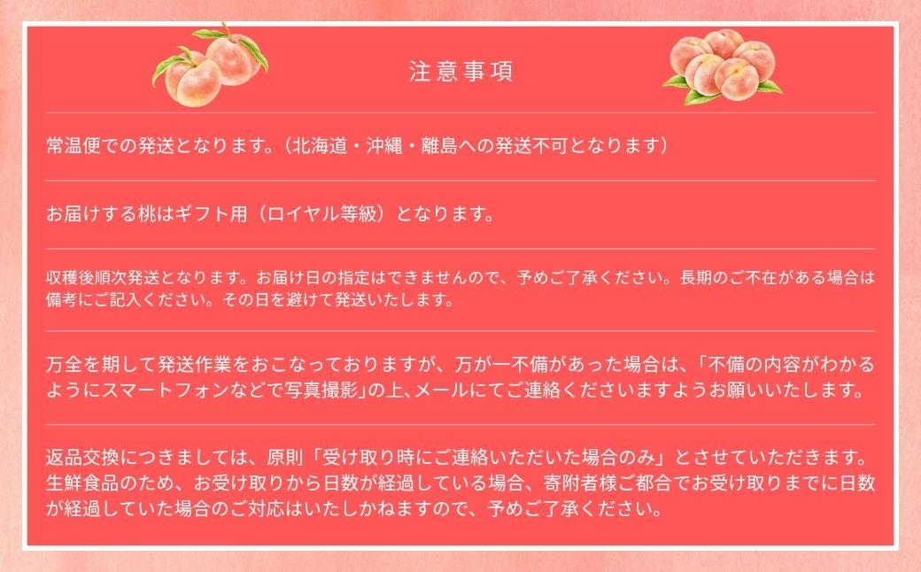 【2026年先行予約】［なんばふぁーむ］岡山県産 黄金桃 1.5kg（4～6玉）[ギフト用]桃 もも モモ おうごんとう フルーツ 果物  朝採り旬 岡山県産 産地直送 産直 送料無料 鏡野町桃 もも モモ はくとう おうごんとう フルーツ 果物 贈答 贈答用 ギフト 朝採り旬 岡山県産 鏡野町桃