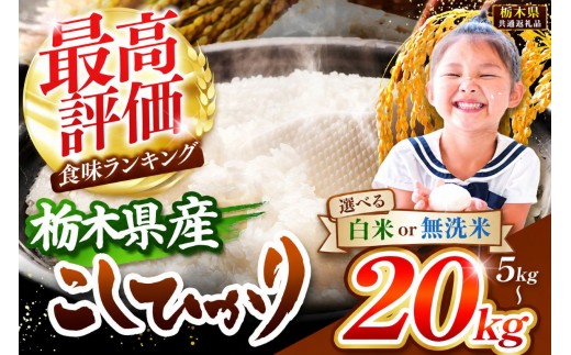 
                  【先行予約】栃木県産 コシヒカリ 白米or無洗米｜選べる容量 5kg 10kg 15kg 20kg  【栃木県共通返礼品】
                