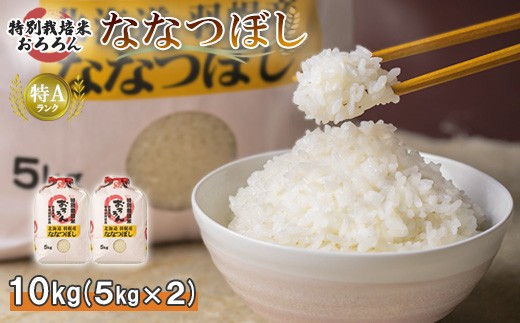 【2025年産】 北海道羽幌産 特別栽培米 ななつぼし10kg （5kg×2セット）
