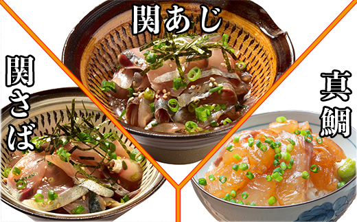 [2月発送開始]＜定期便・全3回＞大分郷土料理りゅうきゅう全9種を3回に分けてお届け！(3種×2食×3回) 刺身 冷凍 セット 海鮮 漬け 産地直送 大分県 真空パック 小分け 惣菜 人気 海鮮丼 漬