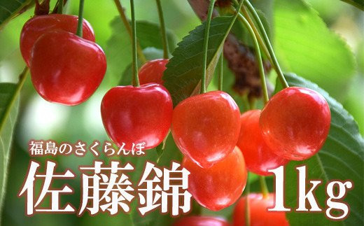 
            No.2414さくらんぼ「佐藤錦」約1kg（バラ詰め）【2025年発送】
          