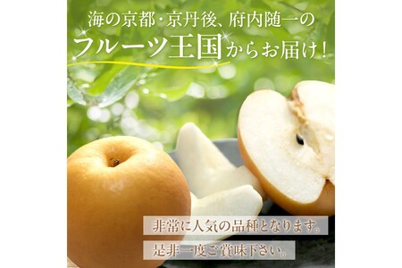 【先行予約／数量限定150】京丹後産 新興梨 5kg（8～14玉入り）（2024年10月中旬～発送）