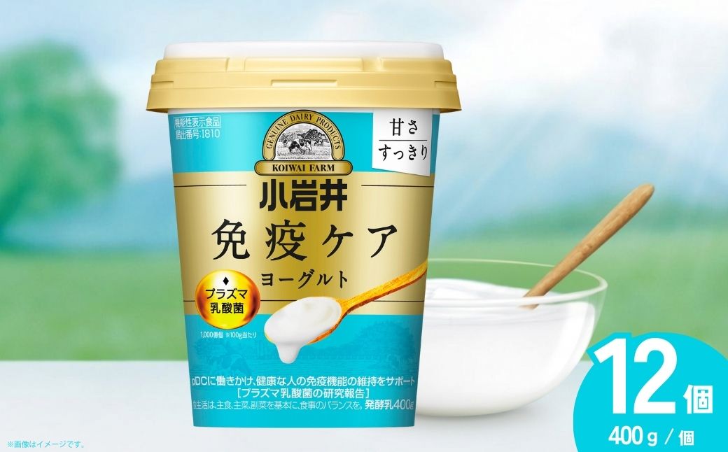 小岩井乳業 免疫ケアヨーグルト甘さすっきり 400g×12個入り | 乳製品 発酵食品 機能性表示食品 プラズマ乳酸菌 免疫 免疫維持 埼玉県 狭山市