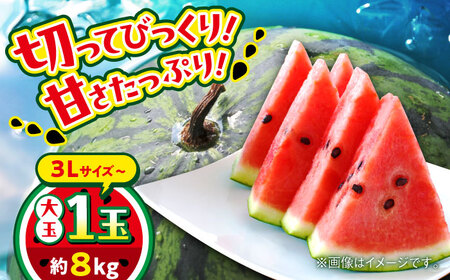 【2026年 先行予約】【数量限定】大玉すいか 3L以上 1玉入り 約8kg【日本フルーツ株式会社】[AYDA007]