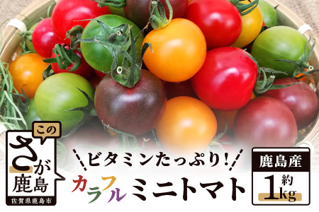 【先行予約】 たにぐちファーム カラフルミニトマト 約1kg 『Ricotomato とりこになるトマト』 B-280