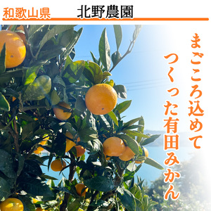【1月発送】秀品 有田みかん 和歌山県産  S～Lサイズ 大きさお任せ 10kg / みかん フルーツ 果物 くだもの 有田みかん 蜜柑 柑橘【ktn003A-1】