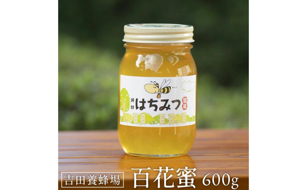 
                  はちみつ 百花蜜 600g [ 国産 蜂蜜 ハチミツ 国産蜂蜜 百花はちみつ 百花蜂蜜 香川県 三豊市 吉田養蜂場 ]
                