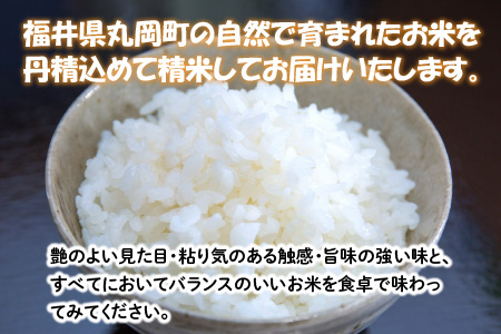 【令和7年産・新米】 【6ヶ月連続お届け定期便】おおかわさんちのコシヒカリ 5kg × 6回 計30kg 精米 [J-10801]