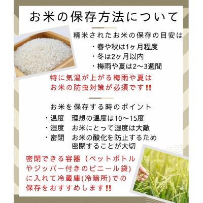 ふるさと納税 亀岡市 【毎月定期便】京都丹波米 こしひかり 10kg全12回 |  | 03