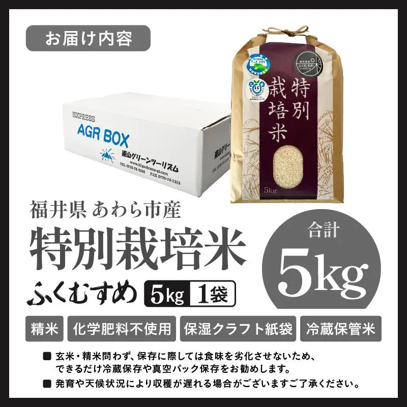 【先行予約】【令和8年産】化学肥料不使用 ふくむすめ 精米 5kg / 白米 米 福井県あわら市産 美味しい 特別栽培米 減農薬 安心な米 旨味 甘み もっちり 冷蔵保管米 ※2026年9月下旬以降順