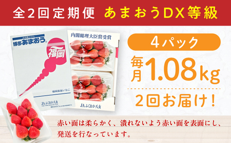 【2回定期便】博多あまおう 2ケース　広川町 / JAふくおか八女農産物直売所どろや[AFAB079]