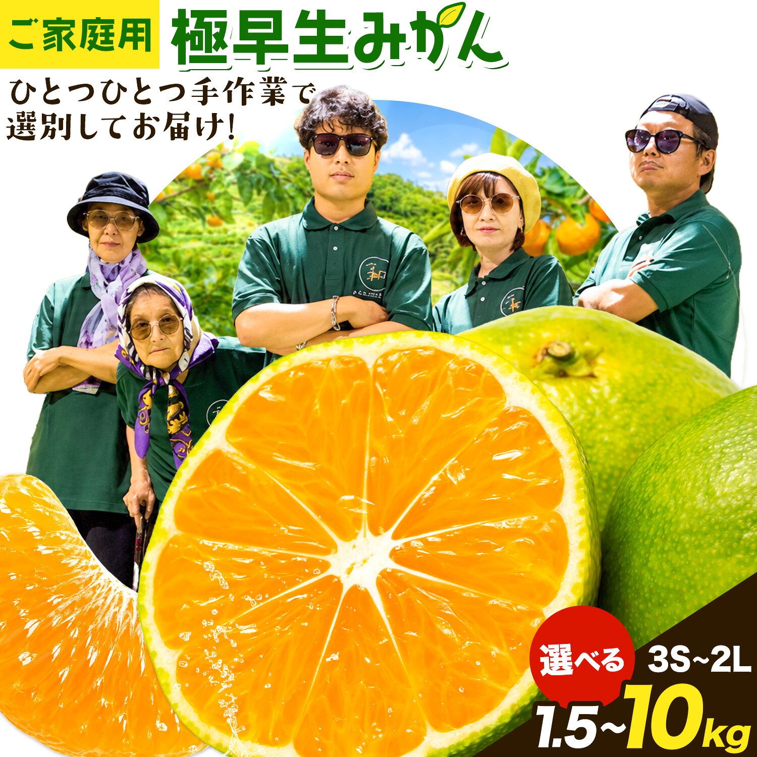 【ふるさと納税】みかん ご家庭用 柑橘 極早生 極早生みかん 手選別 選べる 2S-2Lサイズ混合 3S・2Sサイズ混合 1.5kg 4.5kg 6kg 8kg 10kg 森本農園《10月上旬-11月上旬頃出荷》和歌山県 日高町 柑橘類 フルーツ 家庭用 ミカン お取り寄せフルーツ【配送不可地域あり】