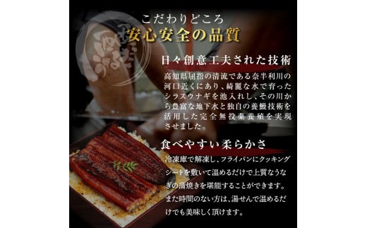 高知ブランド鰻「西岡うなぎ」《上》うなぎの蒲焼き8尾セット（約1320g） オリジナルタレ 山椒付き 国産 ウナギ 鰻 真空パック 冷凍配送 高知県産 うな重 丼 熨斗対応 ギフト 贈答