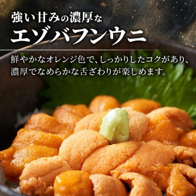 ふるさと納税 余市町 【先行受付:2026年6月以降発送】余市産「塩水うに(エゾバフンウニ)」_Y006-0036 |  | 01