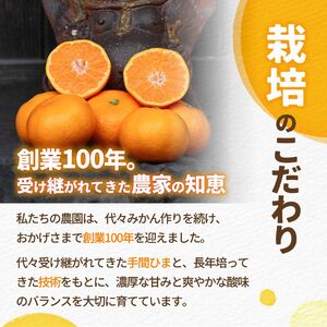 有田 みかん 小玉 5kg / 温州みかん 有田みかん 甘い 小粒 和歌山 柑橘 ※2026年12月上旬〜翌年1月上旬に順次発送 【ymk004-s-5】