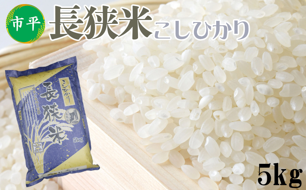 【市平】令和8年産 長狭米 コシヒカ５kg[0014-0043]