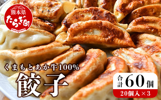 
【餃子】 くまもとあか牛 100％ 餃子 計60個（20個×3パック） 冷凍 熊本県産 あか牛 ぎょうざ 惣菜 おかず 和牛 牛肉 赤身 お手軽 簡単 073-0403
