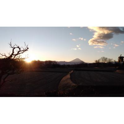 ふるさと納税 韮崎市 令和7年産コシヒカリ(白米)5kg×1袋 |  | 02