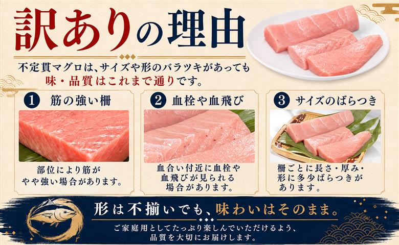 訳あり 不定貫 まぐろ マグロ 本鮪 黒潮本まぐろ 赤身 定期便 3回 120g × 3回 刺身 さしみ 最優秀賞 全国養殖クロマグロ品評会 受賞 魚 魚介類 海鮮 柵 サク 冷凍 お取り寄せ 産地直