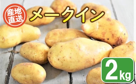メークイン 約2kg 栽培期間中 農薬 不使用 産地直送 農家直送 じゃがいも メークイン めーくいん 期間限定 下関 山口
