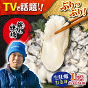 【ふるさと納税】牡蠣 生食 むき身 かき カキ テレビで話題！ 【生牡蠣】【着日指定可能】ミルキーな甘みと濃厚なうまみ！身が引き締まったプリップリの むき身 1kg 人気 海鮮 簡単 レシピ ギフト 広島県産 江田島市/有限会社寺本水産[XAE003]