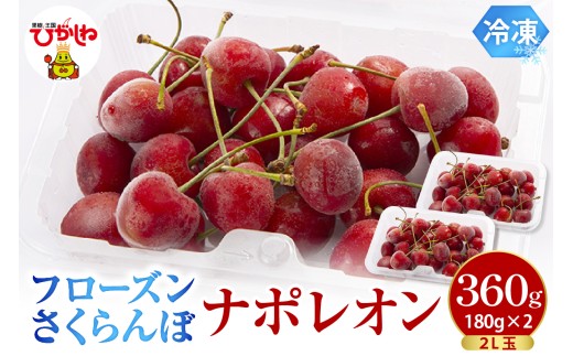 フローズンさくらんぼ 「ナポレオン」 2L玉 180g入×2P 有限会社佐藤錦 提供 hi029-045